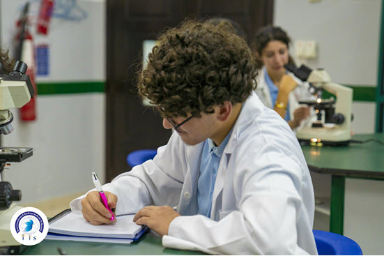 Image 10